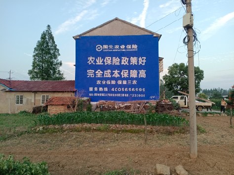  霞浦墙体广告为何受追捧？