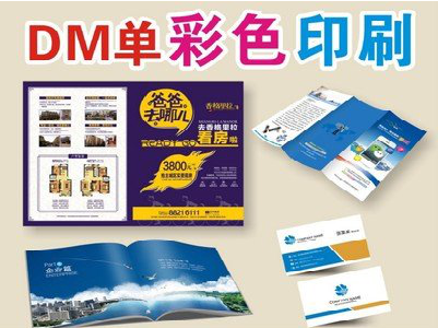  霞浦单页印刷，色彩搭配简单。